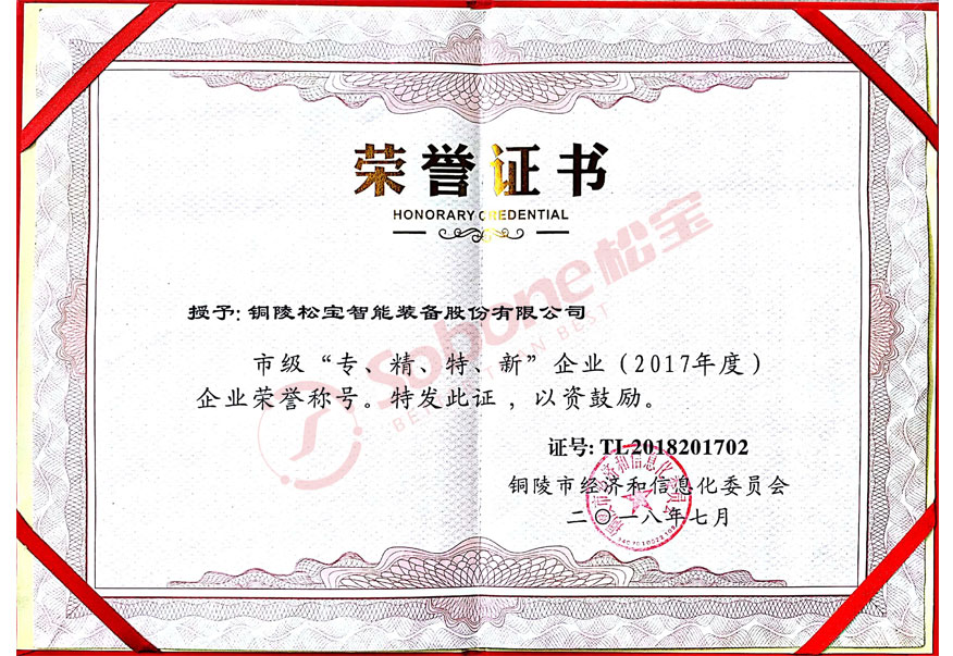 市级”专精特新“证书